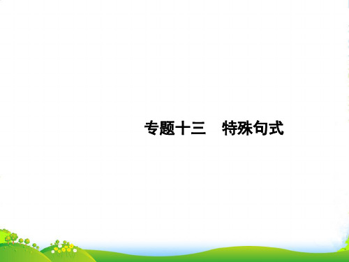 版高考英语总复习(人教)课件：专题十三 特殊句式+(共29张PPT)