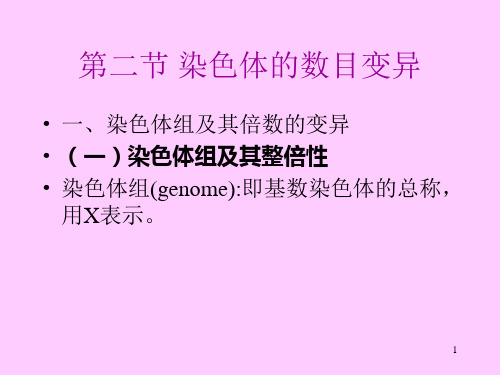 染色体的数目变异PPT演示文稿