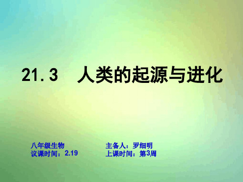 苏教版生物八年级下册人类的起源和进化3