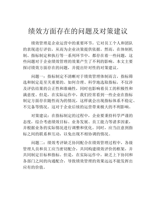 绩效方面存在的问题及对策建议