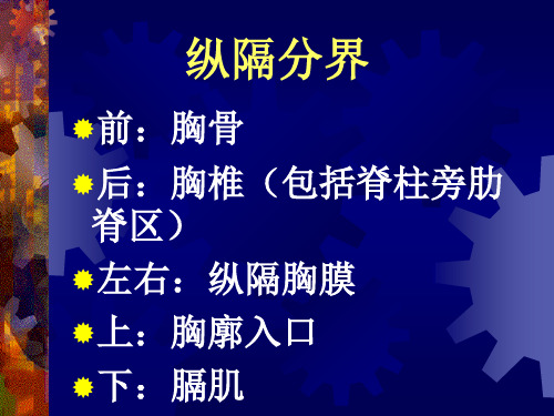 呼吸系统外科学原发性纵隔肿瘤课件