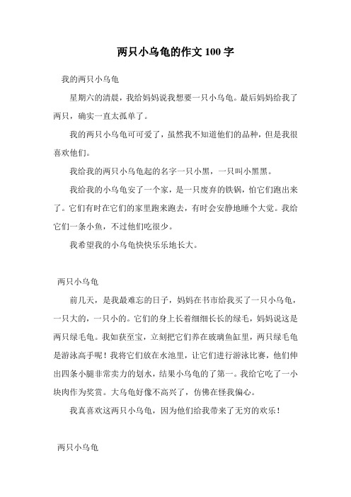 两只小乌龟的作文100字