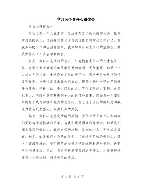 学习两个责任心得体会