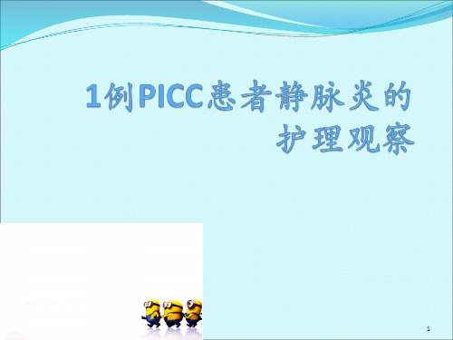 picc护理典型病例ppt课件