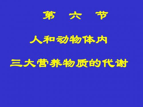 人和动物体内三大营养物质的代谢ppt7 人教版