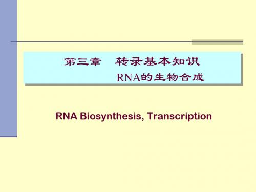 转录基本知识