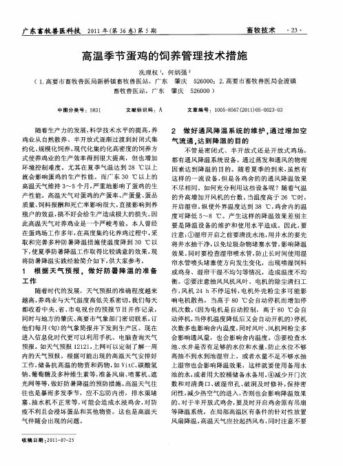 高温季节蛋鸡的饲养管理技术措施