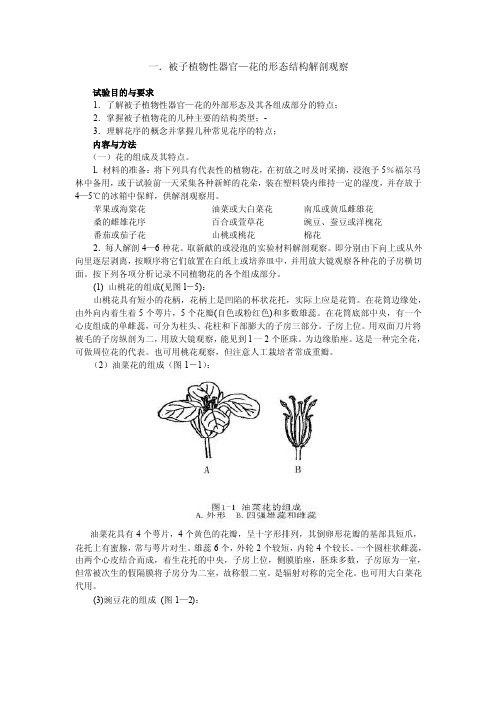 【最新精选】植物胚胎学实验1（花的形态结构解剖观察）