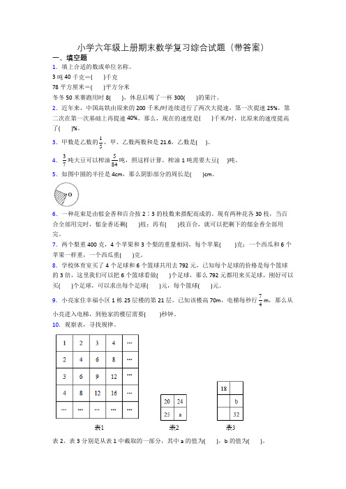 小学六年级上册期末数学复习综合试题(带答案)