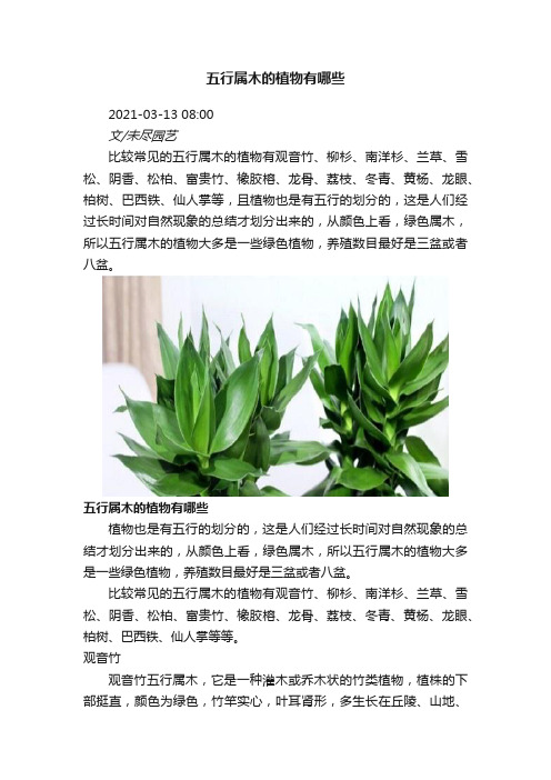 五行属木的植物有哪些