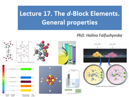 2019-The d-Block Elements General properties：d区元素的一般性质-文档资料