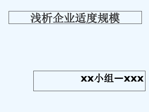 浅析企业适度规模