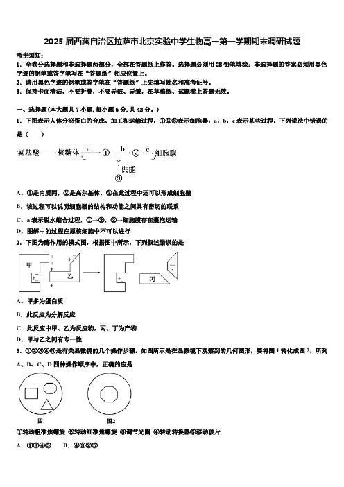 2025届西藏自治区拉萨市北京实验中学生物高一第一学期期末调研试题含解析