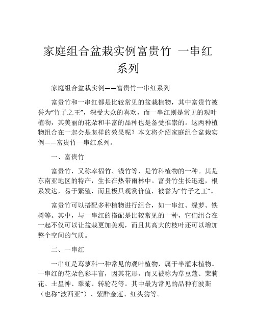 家庭组合盆栽实例富贵竹 一串红系列