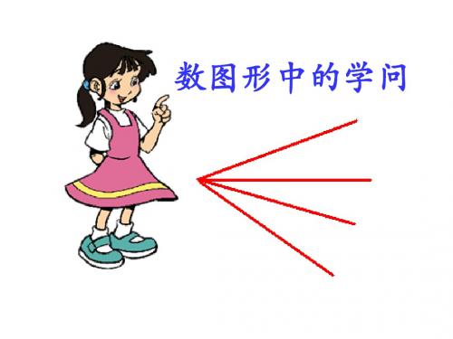 数图形中的学问课件(北师大版数学四年级下册)