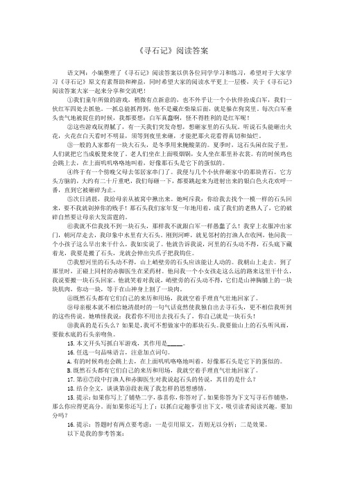 《寻石记》阅读答案