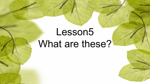 科普版小学英语四年级下册Lesson5