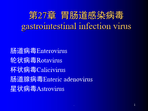 肠道病毒 ppt课件