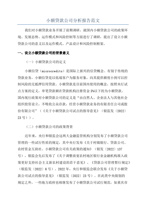 小额贷款公司分析报告范文