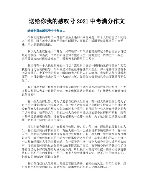 送给你我的感叹号2021中考满分作文