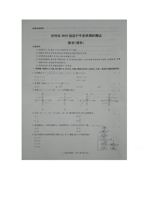 福建省漳州市2018届高三上学期期末调研测试  数学(理)  扫描版含解析