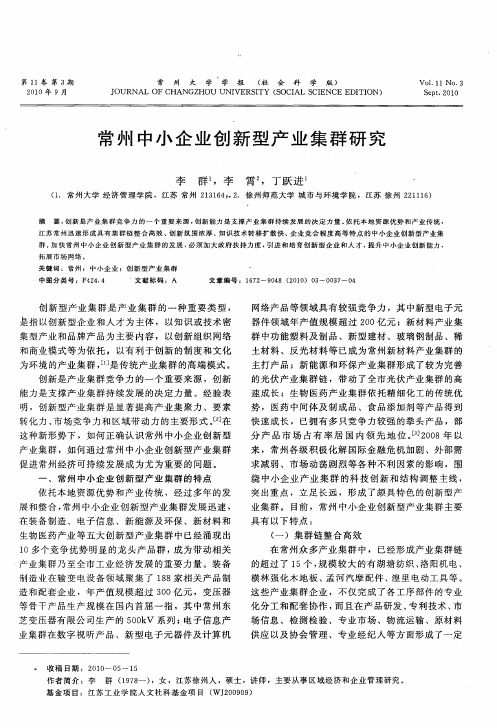 常州中小企业创新型产业集群研究