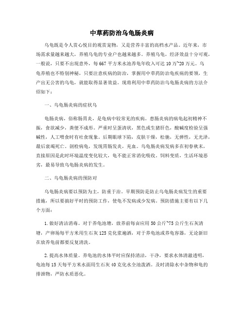 中草药防治乌龟肠炎病