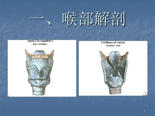 气管插管教学ppt课件