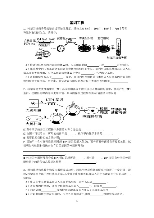 基因工程简答题