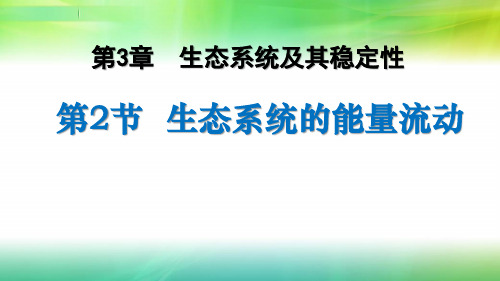 2019人教版高中生物选择性必修2课件  3.2生态系统的能量流动