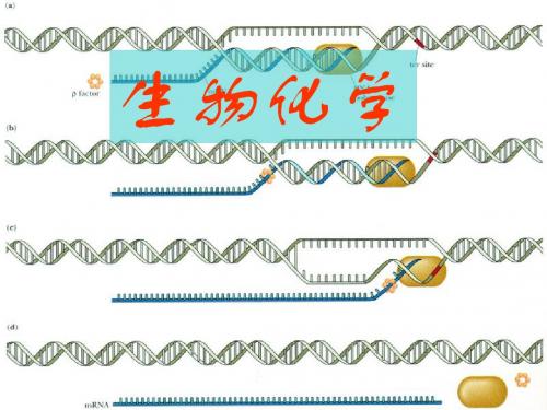 四生物化学的发展史1炼金术阶段