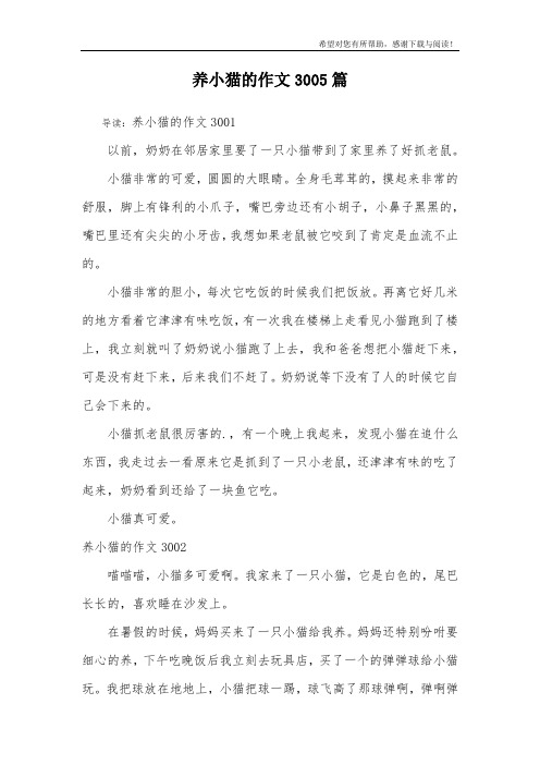 养小猫的作文3005篇