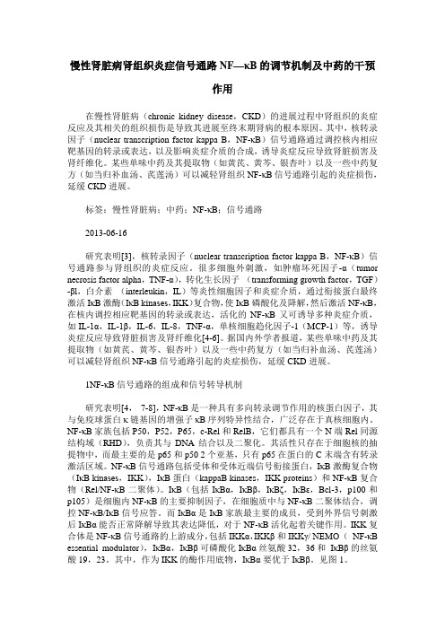 慢性肾脏病肾组织炎症信号通路NF—κB的调节机制及中药的干预作用