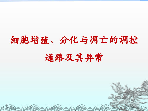 细胞增殖与分化的调控机制及异常ppt课件