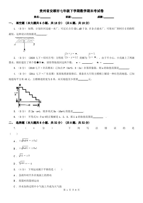 贵州省安顺市七年级下学期数学期末考试卷