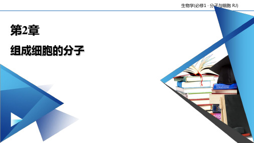 【新教材人教版生物】组成细胞的分子PPT实用课件1