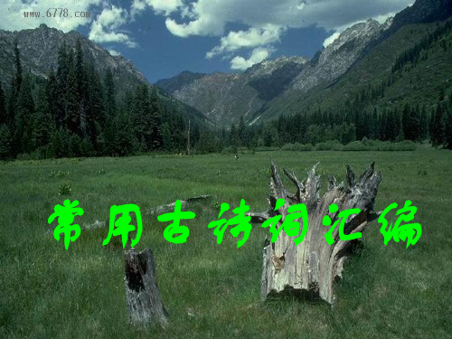 常用古诗词汇编.