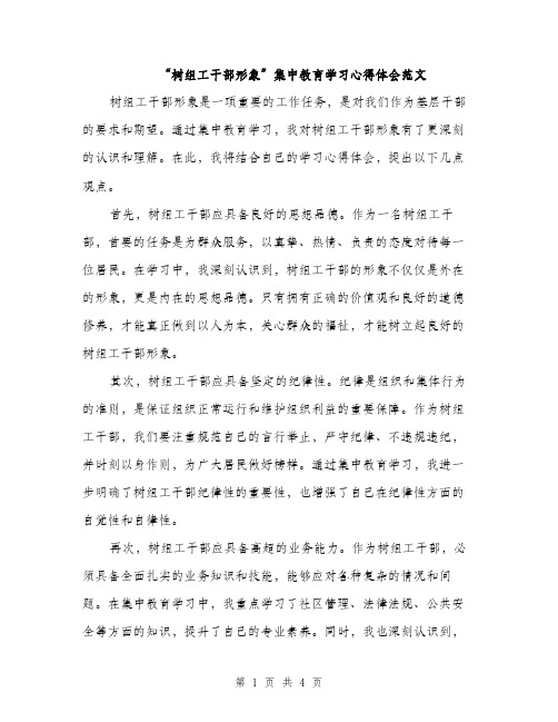 “树组工干部形象”集中教育学习心得体会范文(2篇)