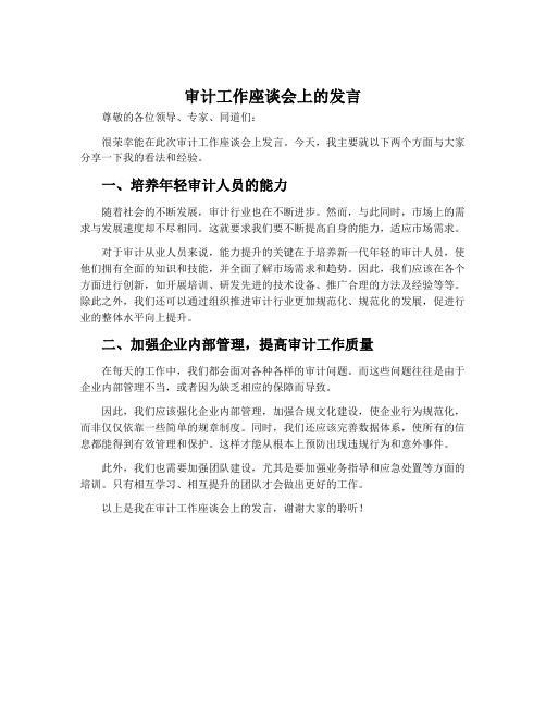 审计工作座谈会上的发言