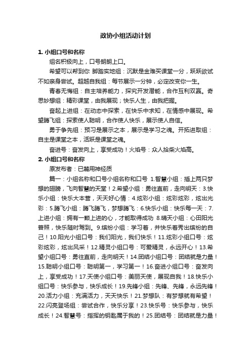 政协小组活动计划