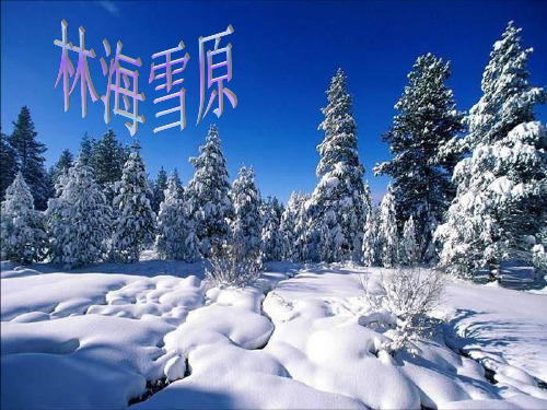 《林海雪原》PPT-山东人民版思品五下PPT教学课件