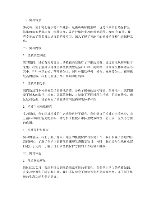 雾灵山植被实习报告