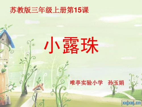 小露珠第一课时
