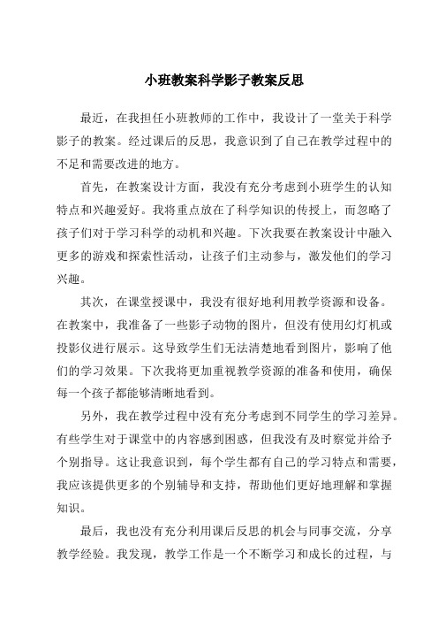 小班教案科学影子教案反思