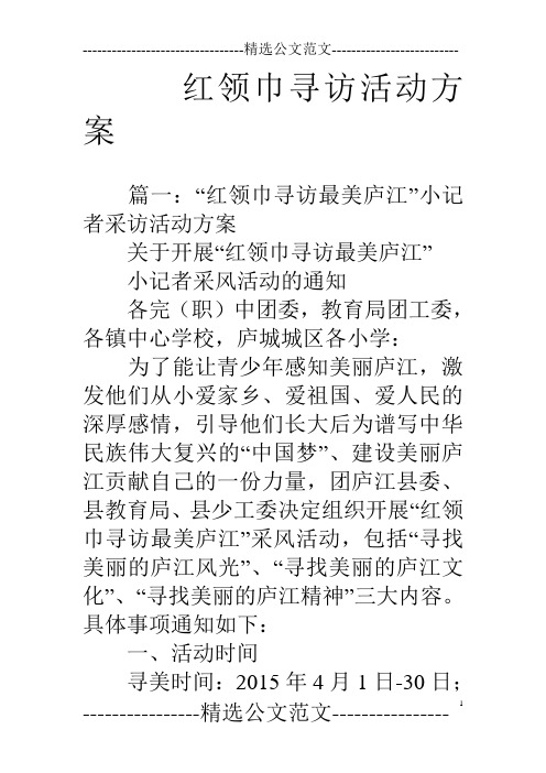 红领巾寻访活动方案