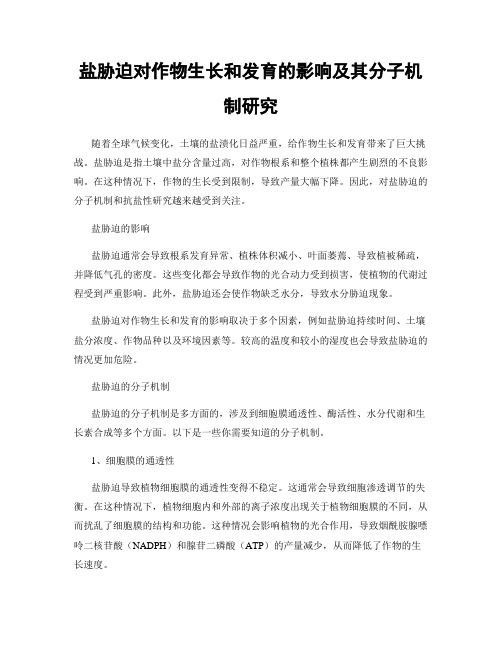 盐胁迫对作物生长和发育的影响及其分子机制研究