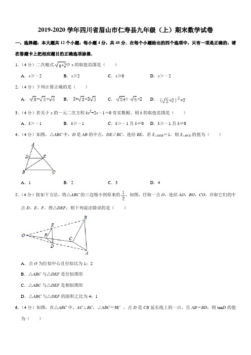 2019-2020学年四川省眉山市仁寿县九年级(上)期末数学试卷