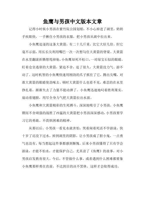 鱼鹰与男孩中文版本文章