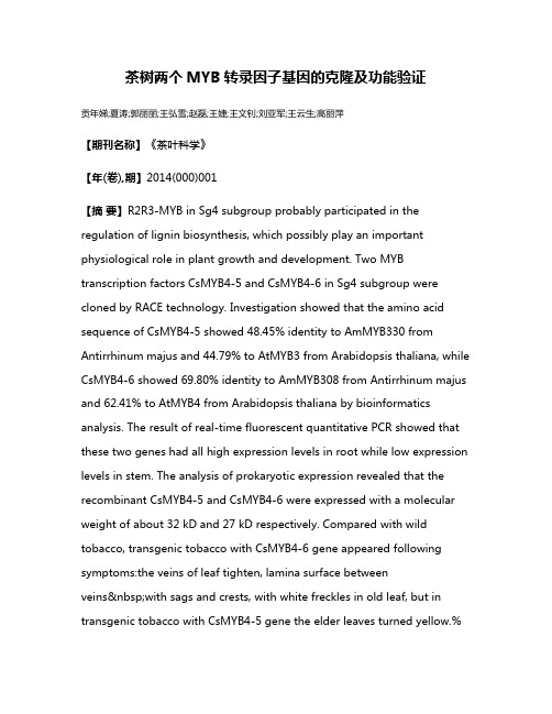 茶树两个MYB转录因子基因的克隆及功能验证
