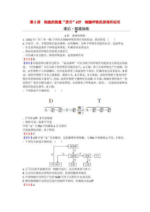 高考生物一轮总复习第三单元细胞的能量供应和作用第2讲细胞的能量“货币”ATP细胞呼吸的原理和应用提能